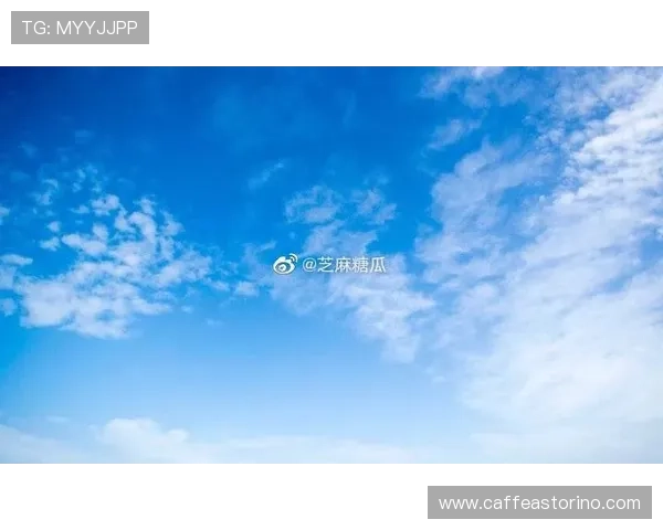 深入了解星空体育app网址的客户服务，解决使用中的常见问题