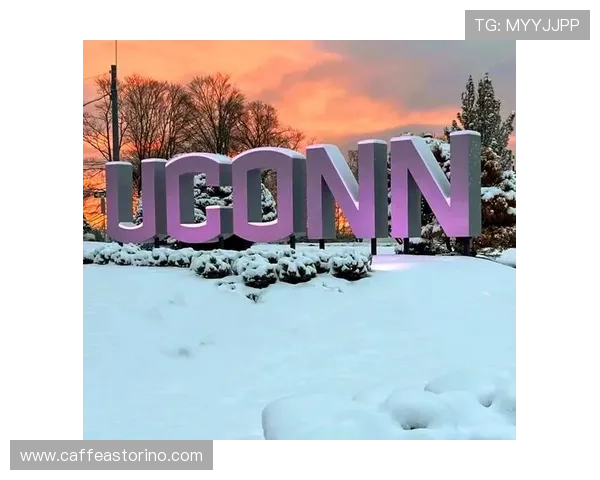 U体育全新体验带你畅享极致体育盛宴