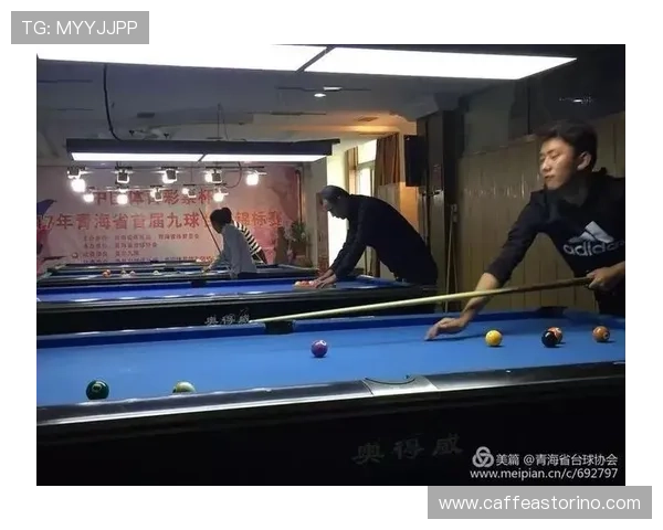 九球体育的发展现状与未来趋势全面解析