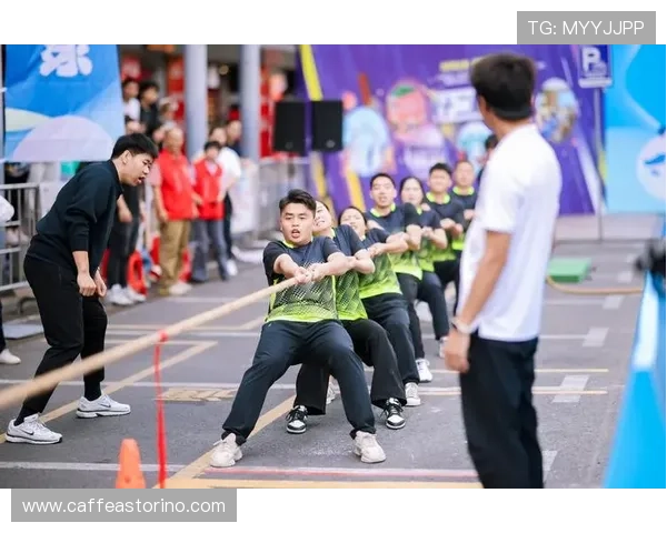 半岛体育官网入口官方指南帮助新用户正确操作，轻松进入体育娱乐平台畅享精彩赛事