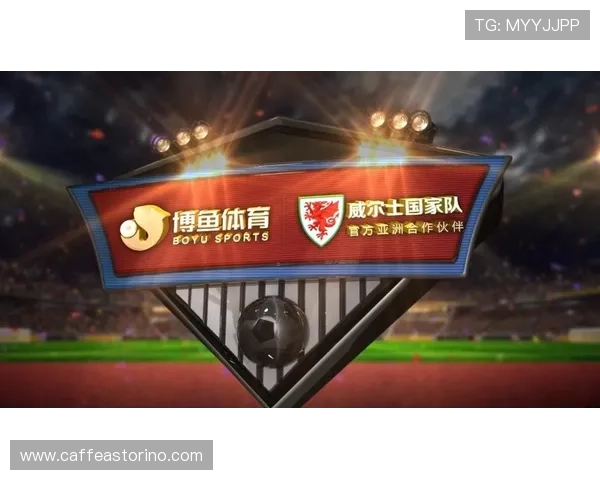 博鱼体育官网下载：优质体育赛事直播与互动体验全攻略