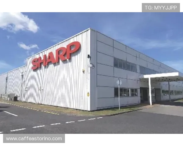 博鱼app登陆入口官方渠道推荐，快速安全辅助用户顺利进入登录界面