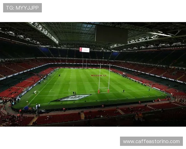 星空体育地址全攻略，带你一站式了解场馆位置与交通指南