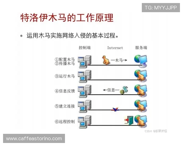 星空体育线上开户流程详解与安全保障措施全面分析