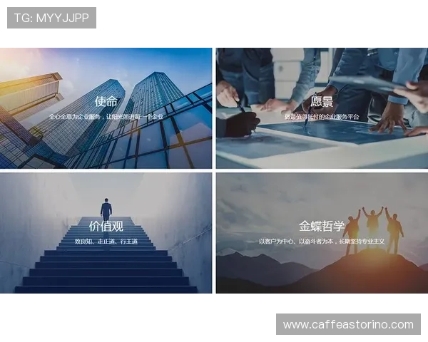 星空在线登录入口，遇到问题还能提供专业的技术支持与帮助服务